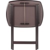 image:imageWinsome Chandler Set of 4 Snack Tables Espresso Finish