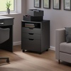 image:imageWinsome Halifax 5Drawer Storage Cabinet Black 20519Black
