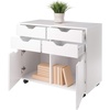image:imageWinsome Halifax Mobile Storage Cabinet with 1 Door amp 5 Drawers in White Stylish amp Functional Home Storage Cabinet for Filing Kitchen Organization Moveable Furniture for Office Dorms ApartmentsWhite