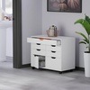 image:imageWinsome Halifax Mobile Storage Cabinet with 1 Door amp 5 Drawers in White Stylish amp Functional Home Storage Cabinet for Filing Kitchen Organization Moveable Furniture for Office Dorms ApartmentsWhite
